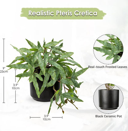Künstliche Farn Dekopflanze im schwarzen Keramiktopf
