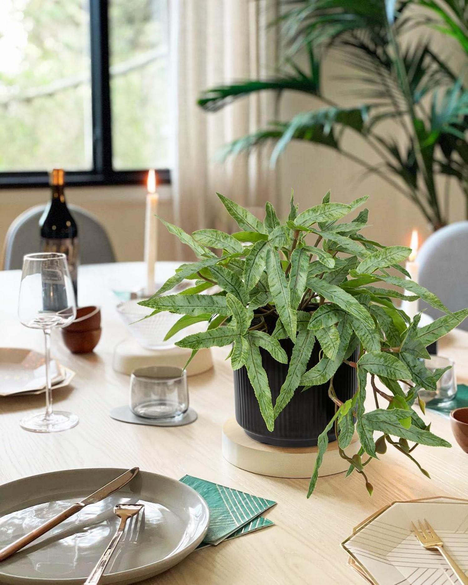 Künstliche Farnpflanze in modernem Keramiktopf - Deko Zimmerpflanze 1pcs Grün