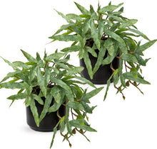 Künstliche Farnpflanze im 2er Set Schwarz Keramiktopf