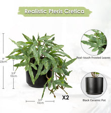 2er Set Künstliche Farn Kunstpflanze in Keramiktopf 20cm