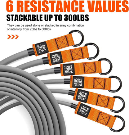 HTD Resistance Bands Set 300lbs Expander Tube Home Gym