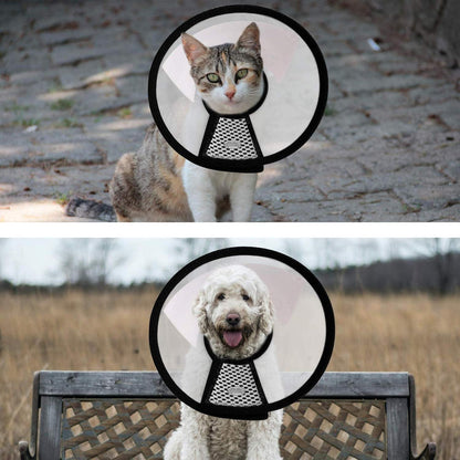 SUQ Verstellbare Haustier Kegel Halskrause für Katzen und kleine Hunde