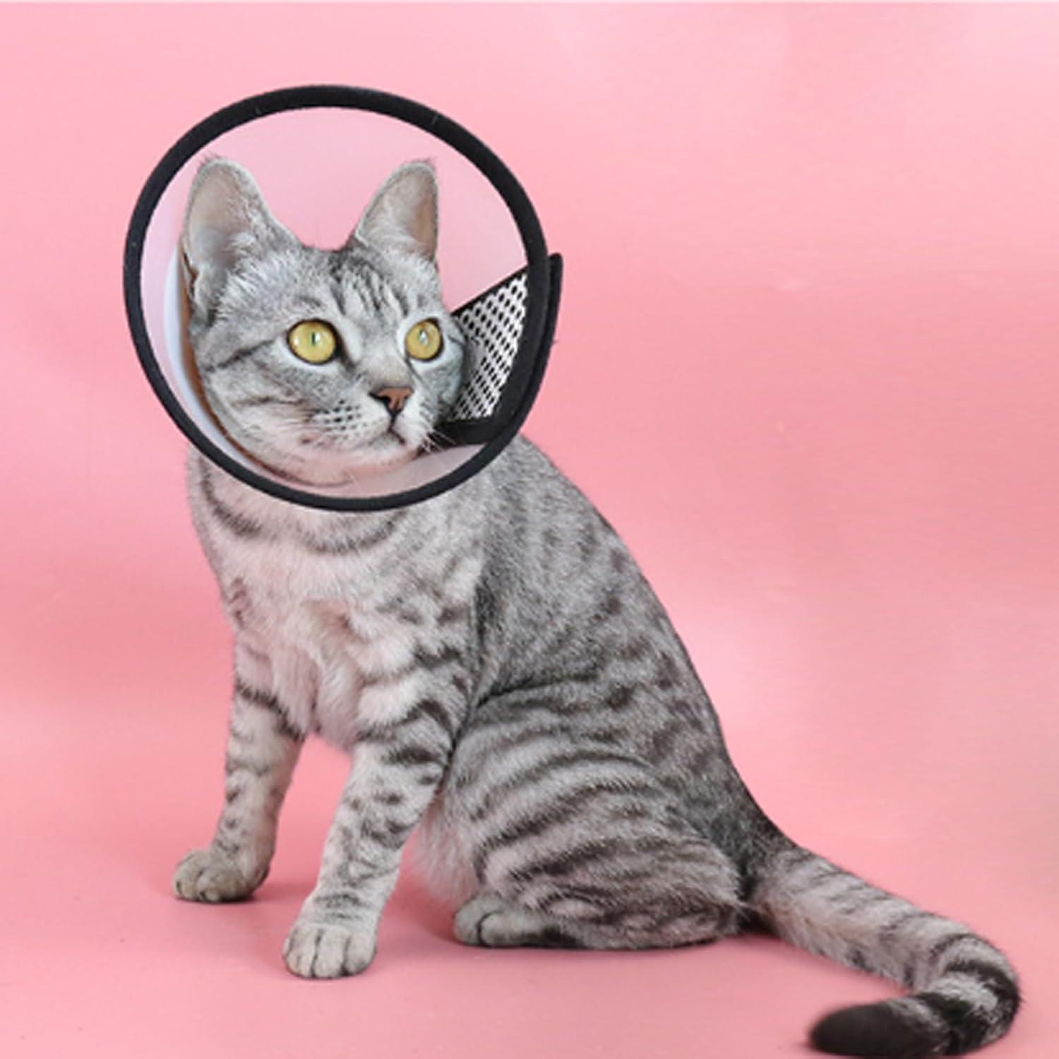 SUQ Verstellbare Haustier Kegel Halskrause für Katzen und kleine Hunde