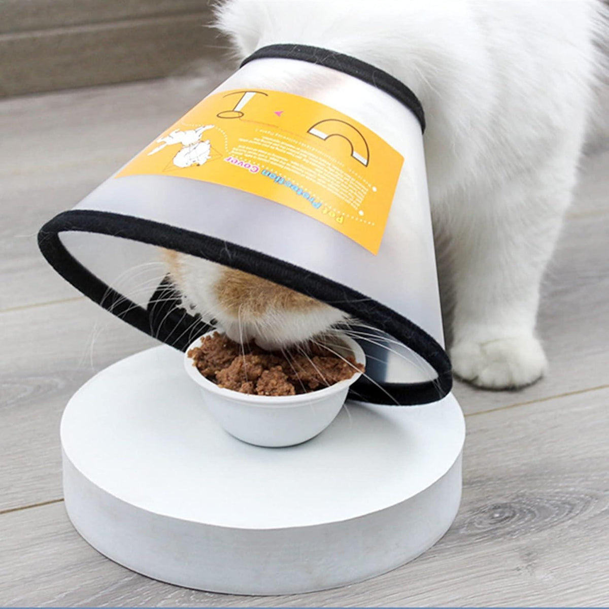Hundekegel Verstellbar – Schutzkragen für Hunde (23-27cm)
