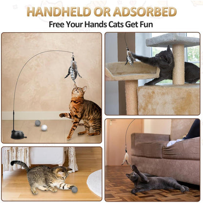 Katzen Spielzeug Set mit Saugnäpfen, Maus, Federn