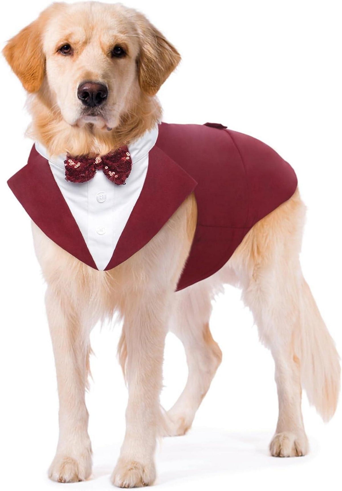 Hunde Smoking Anzug Bandana Set Hundeanzug Hochzeit Halloween