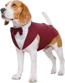 Hunde Smoking Anzug Bandana Set Hochzeit Halloween Party S-XXL