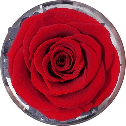 Ewige Rose Engel Geburtstagsgeschenk Box für Frauen, Mutter, Freundin