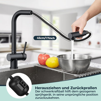 FORIOUS Schwarz Edelstahl Einhebel Wasserhahn Küche ausziehbar
