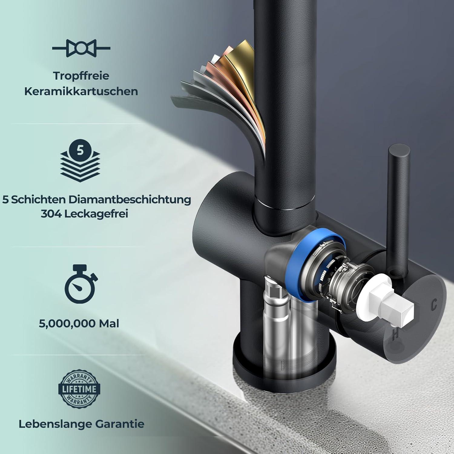 FORIOUS Schwarz Küchenarmatur mit Brause, 360° Drehbar, Edelstahl