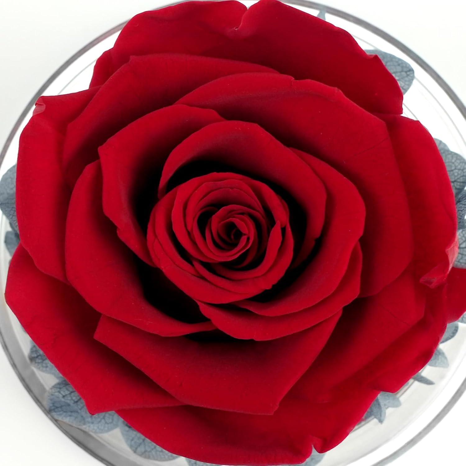 Sunia Beste Frau Geschenke Engel Figur Ewige Rose Blume Hochzeitstag