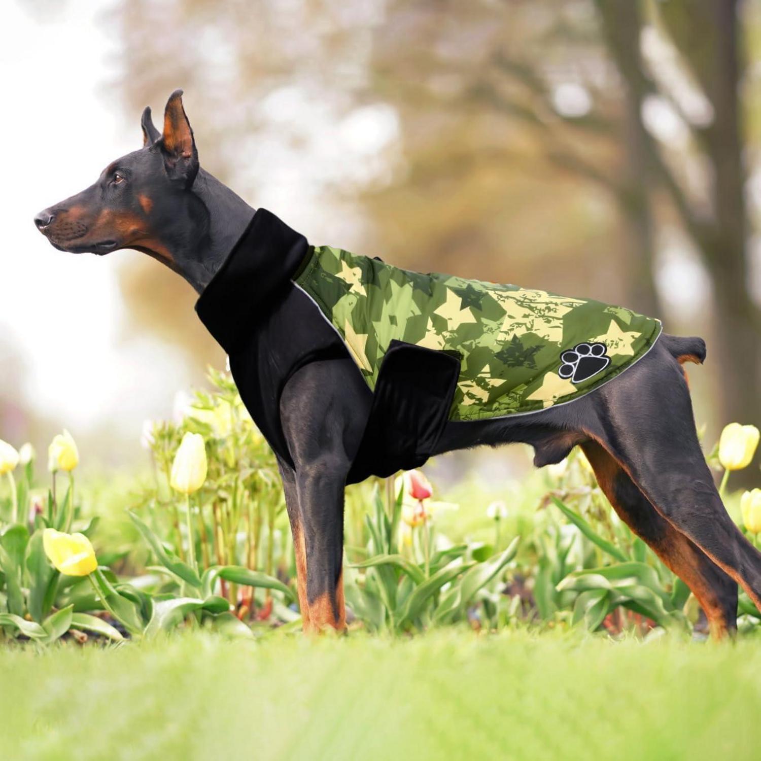 Hundemantel für Kleine Hunde Dackel GrünSternCamo M - Wasserdicht