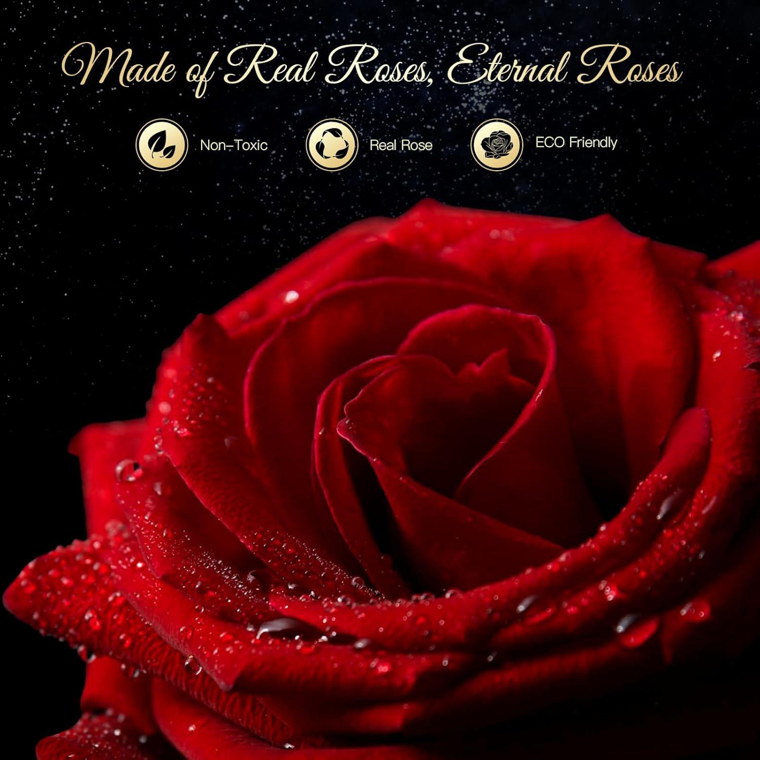 Ewige Infinity Rose Kette mit Konservierte Rosenbox Rot