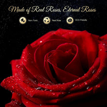 Ewige Infinity Rose Kette mit Konservierte Rosenbox Rot
