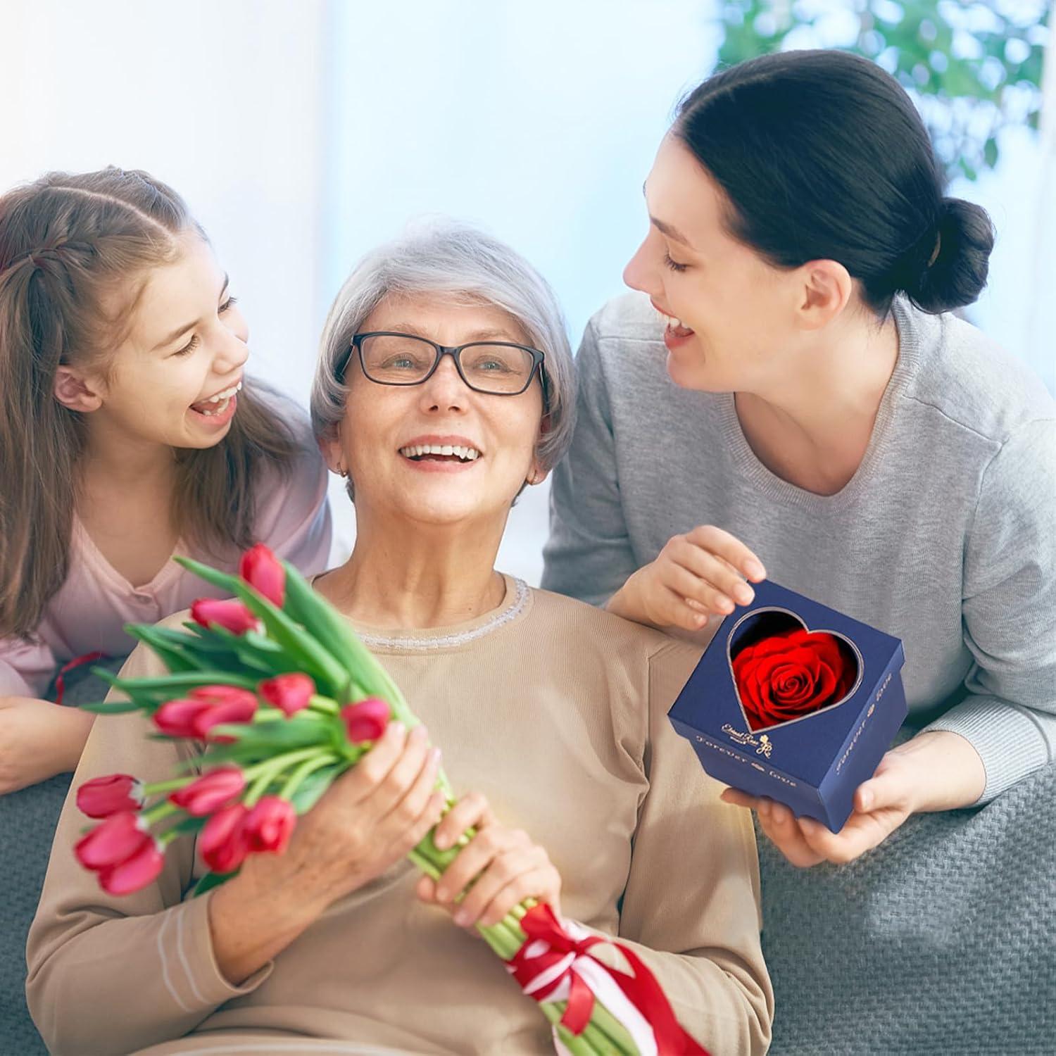 Ewige Rose Kette Rote Rosenbox Geschenke Frauen Herz