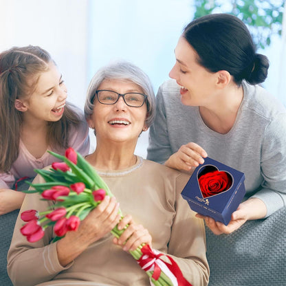 Ewige Rose Kette Rote Rosenbox Geschenke Frauen Herz