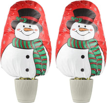 Frostschutz Überwinterungszelt 2 Stück 70g/m² für Pflanzen 80×100cm