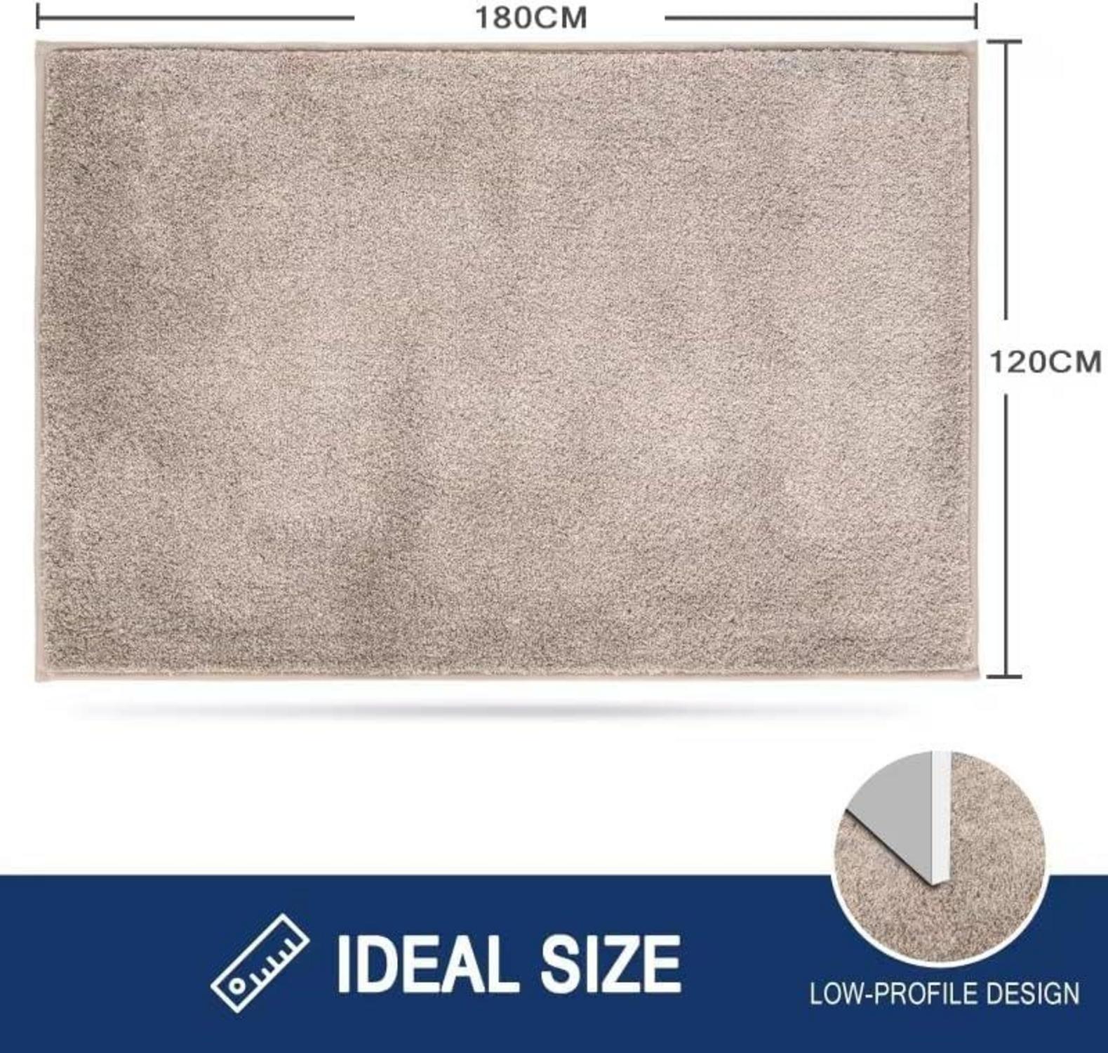Schmutzfangmatte Innen 120x180cm rutschfest beige