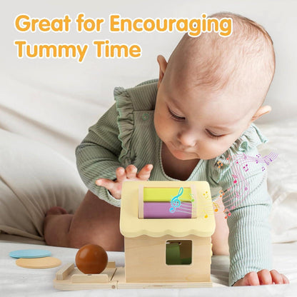 Montessori 5in1 Holzspielzeug ab 1 Jahr Motorik Geschenk