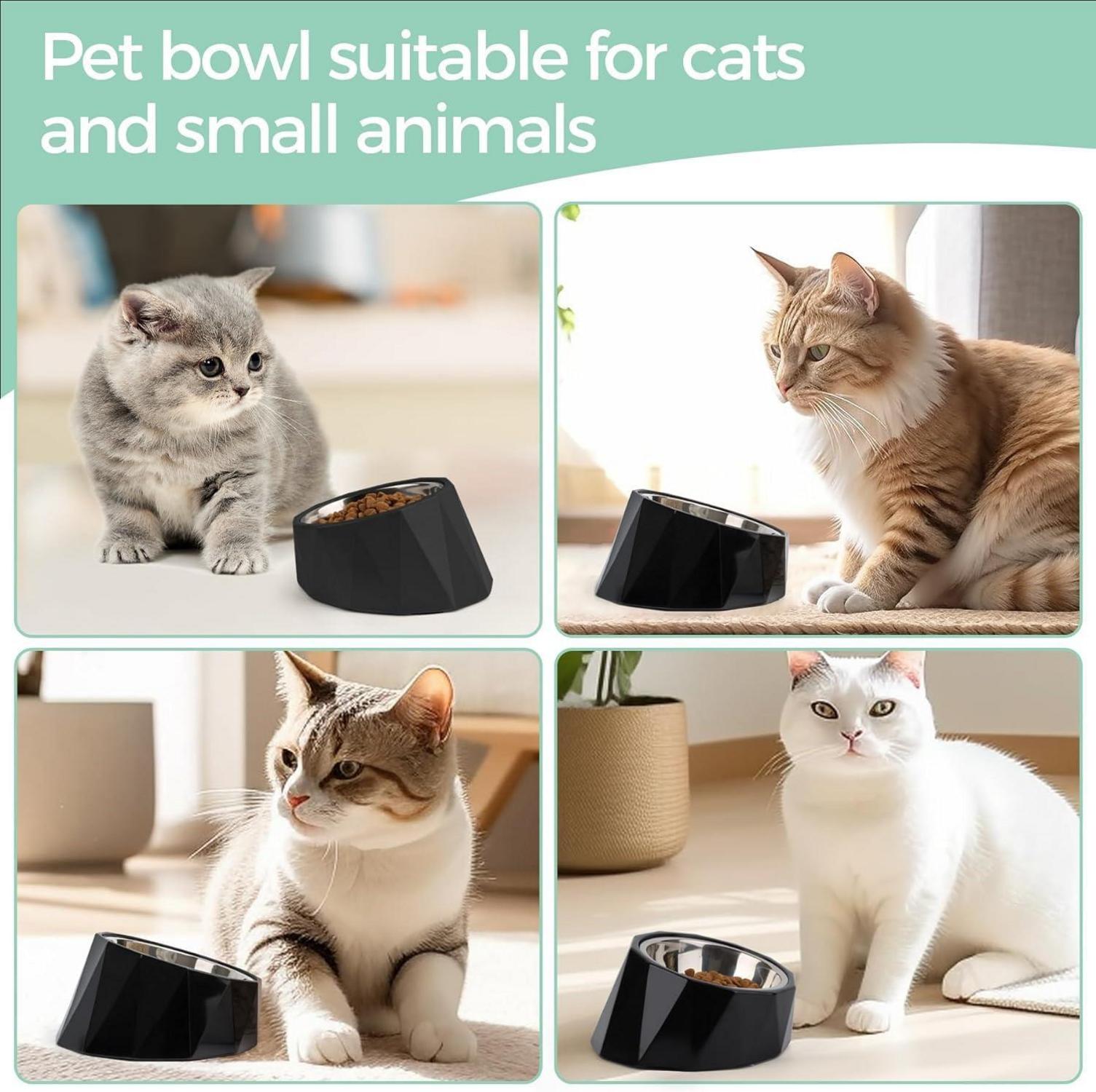 Geneigter Hundenapf 120ml Schwarz - Katzen- und Hundeschüssel mit erhöhtem