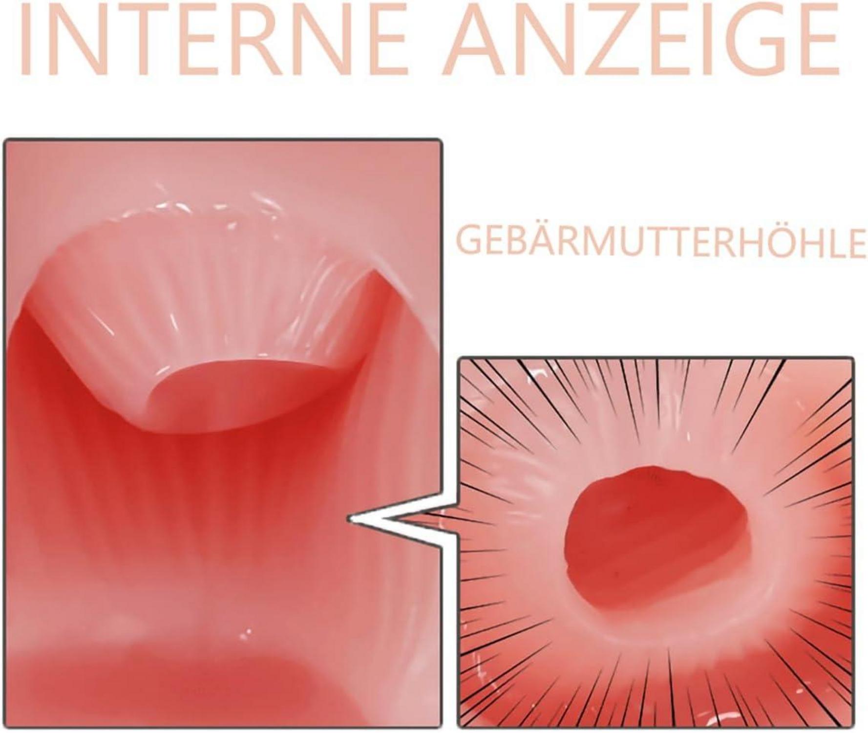 Realistische 3D Taschenmuschi Masturbator Simulation Vagina Klitoris Anal
