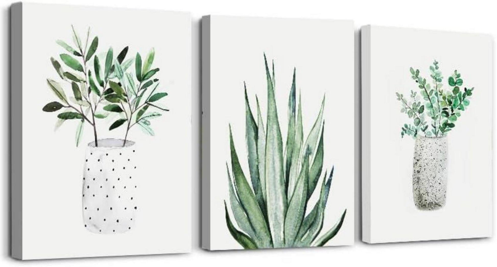 Aloe Vera Grüne Pflanzen Bilder Natur Wandbilder 40x30cm