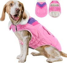 Hundemantel Winter Hundemantel Warme Hundebekleidung Große Hunde