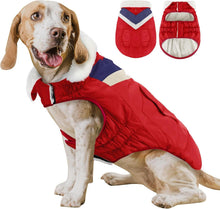 Hundemantel Hundejacke Warm Kragen Baumwolle Winter Wasserdicht Rot