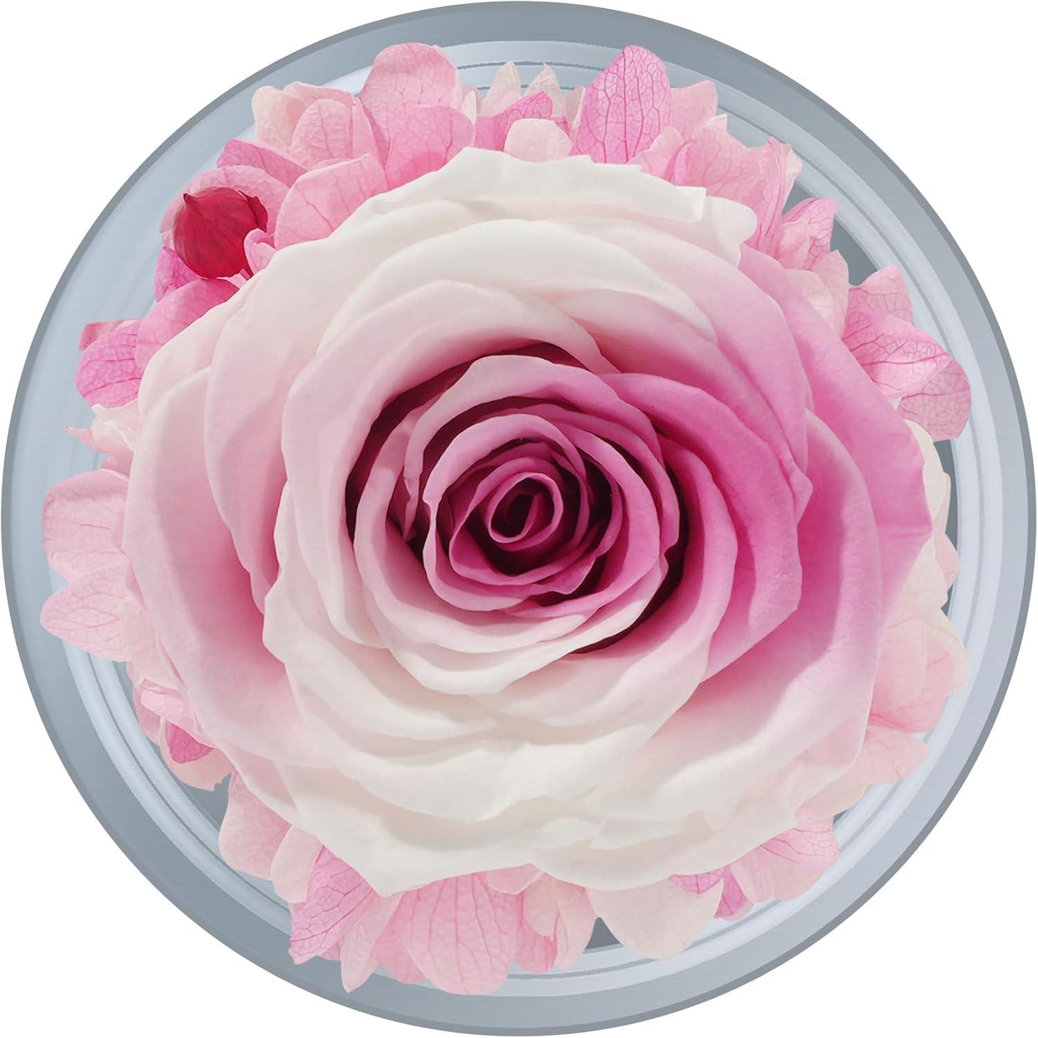 Ewige Rose Engel Figur Glasdome Geschenkbox für Frauen