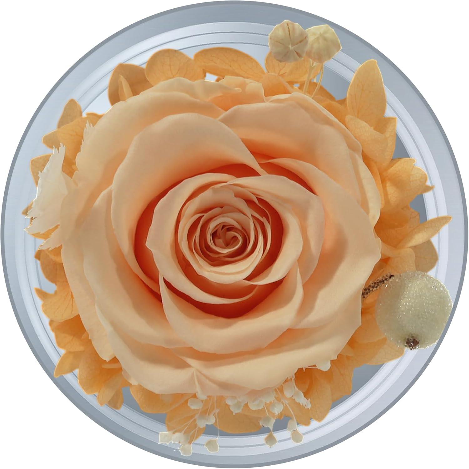 Ewige Rose mit Engel Figur in Glaskuppel - Muttertagsgeschenk