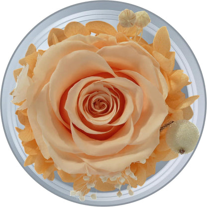Ewige Rose mit Engel Figur in Glaskuppel - Muttertagsgeschenk