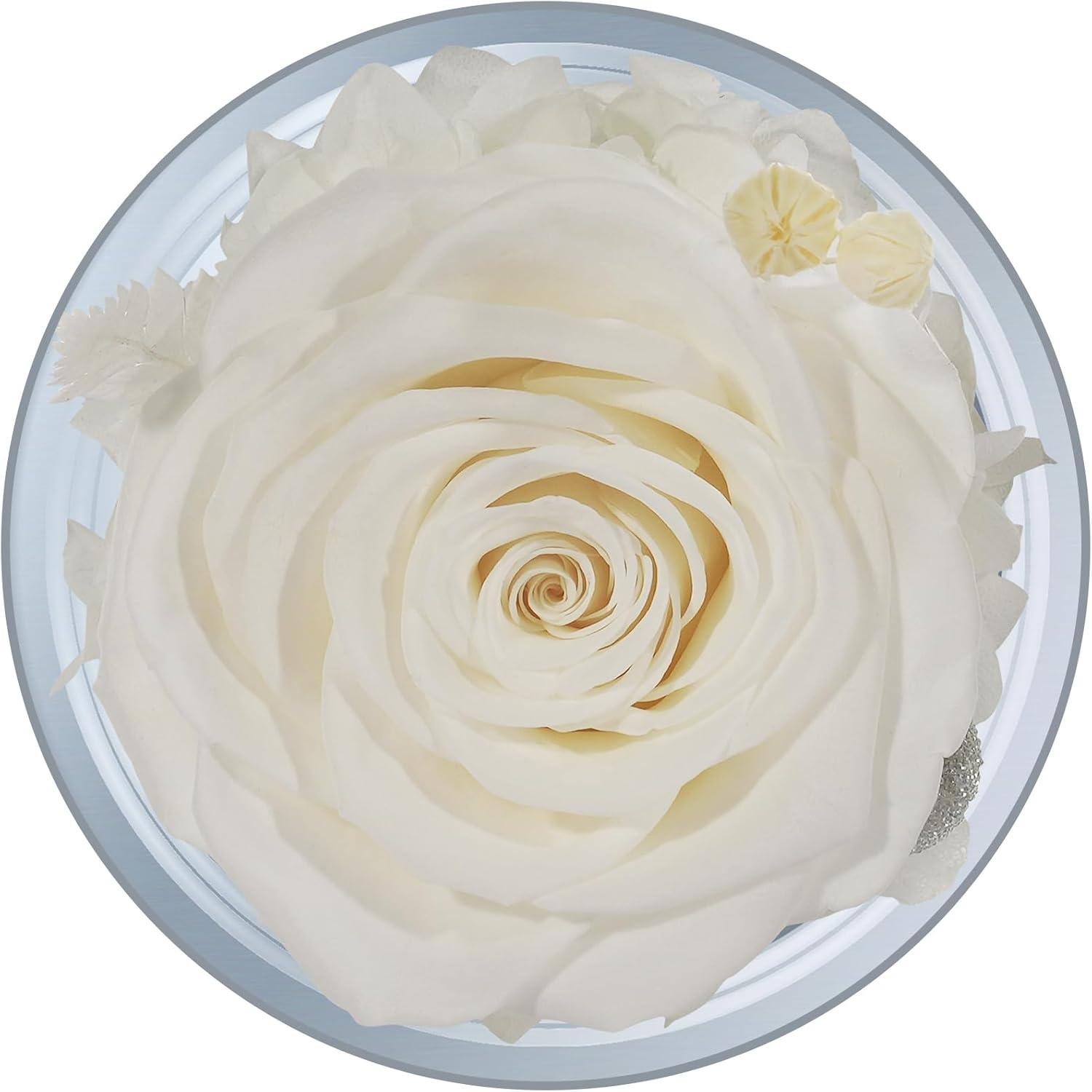 Ewige Rose Engel Glaskuppel Mama Muttertag Geburtstagsgeschenk