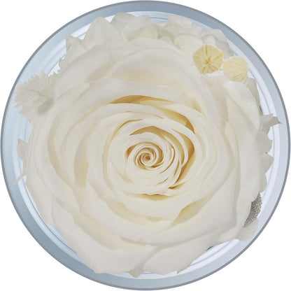 Ewige Rose Engel Glaskuppel Mama Muttertag Geburtstagsgeschenk