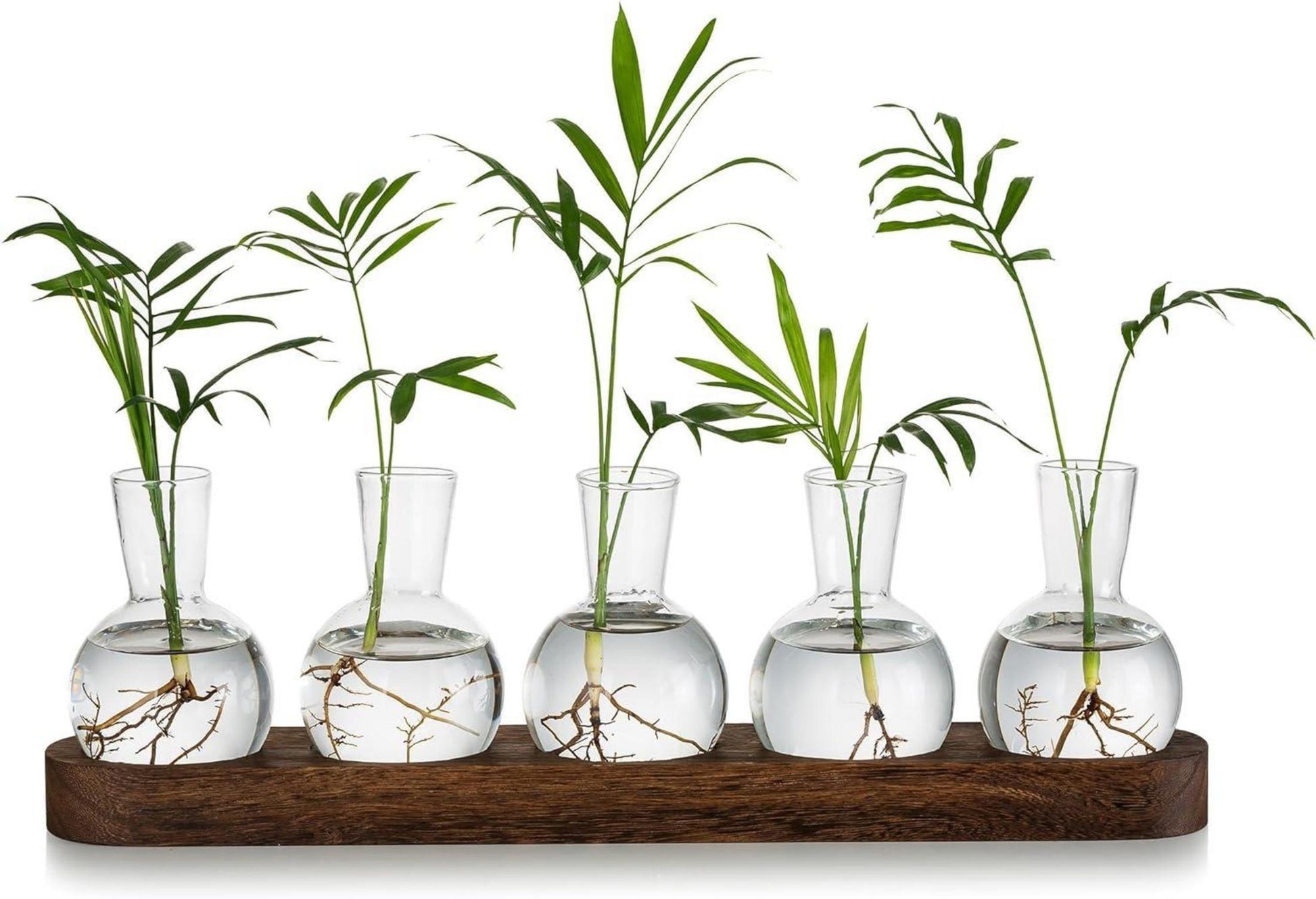 Mini Glas Terrarium Set Hydrokultur Vase Holztablett Kreativ96