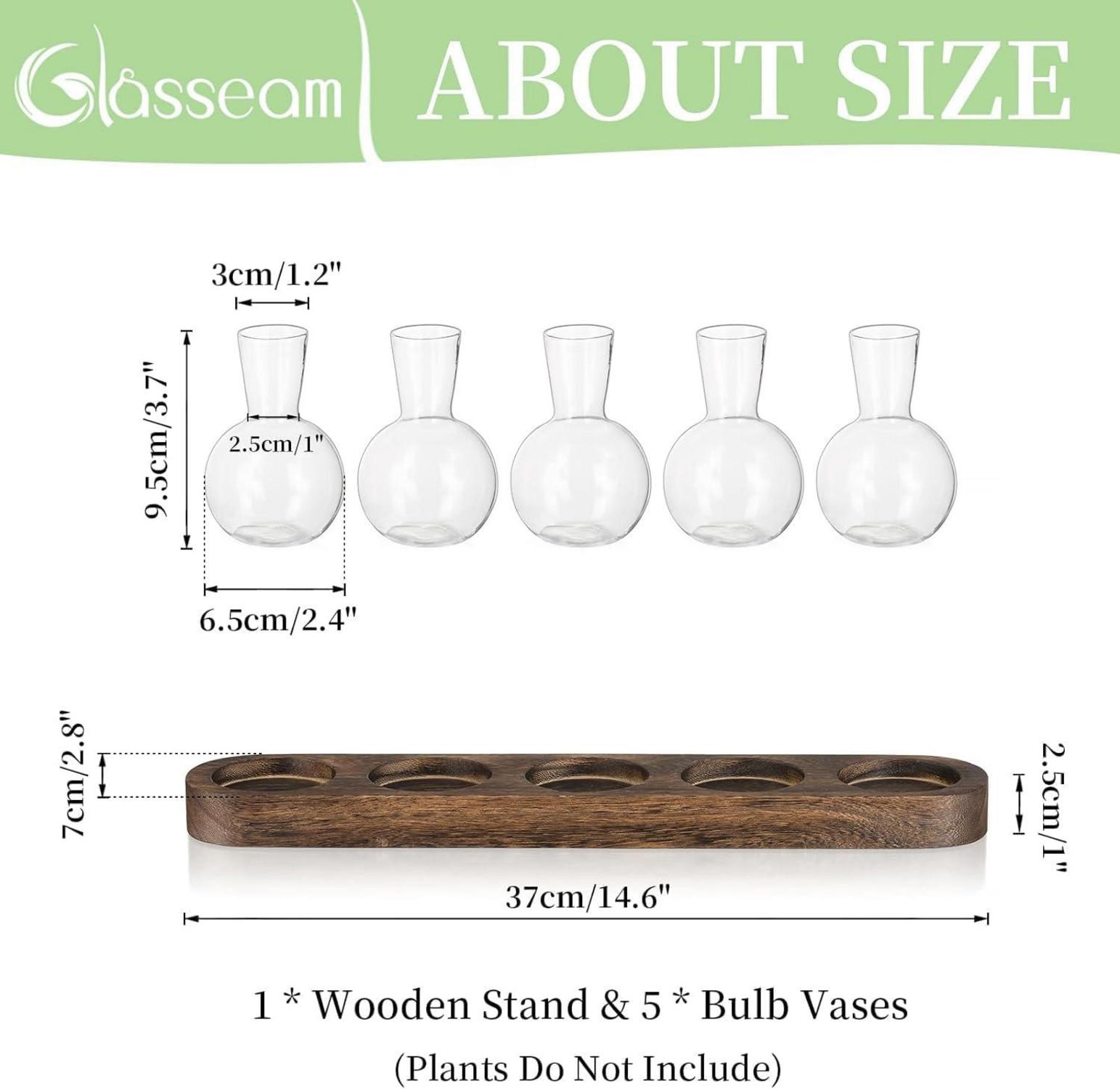 Pflanzen Terrarium Glasvasen inkl. Holztablett Hydrokultur Deko Set