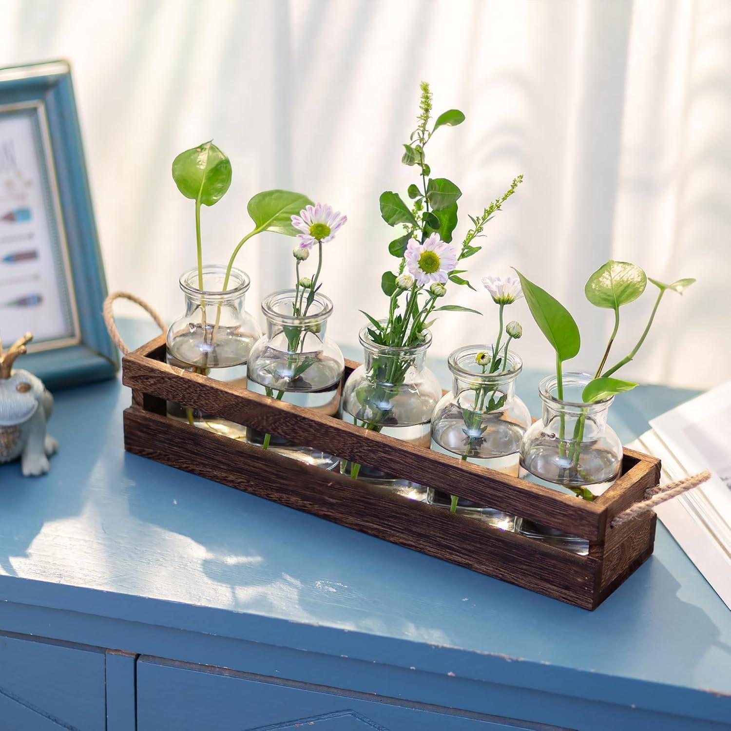 Glasseam Propagation Station Vasen Set: 5 Kleine Glasvasen