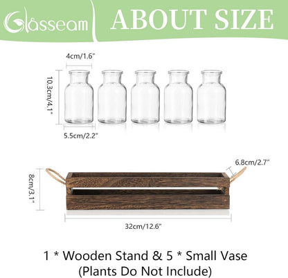 Glasseam Glasvasen Set für Pflanzen Terrarium Deko
