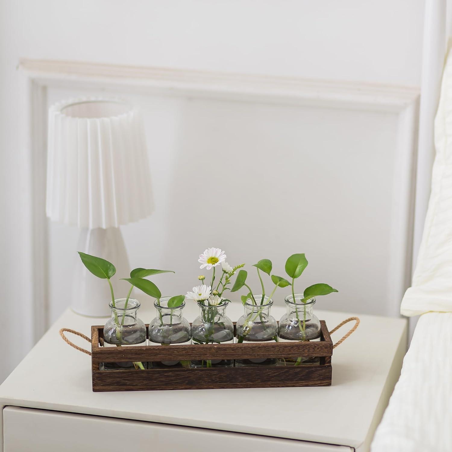 Hölzernes Glasvasen Set Mini Hydrokultur Terrarium Design vase Klar