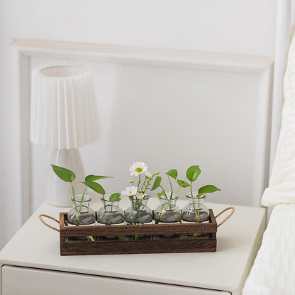 Hölzernes Glasvasen Set Mini Hydrokultur Terrarium Design vase Klar