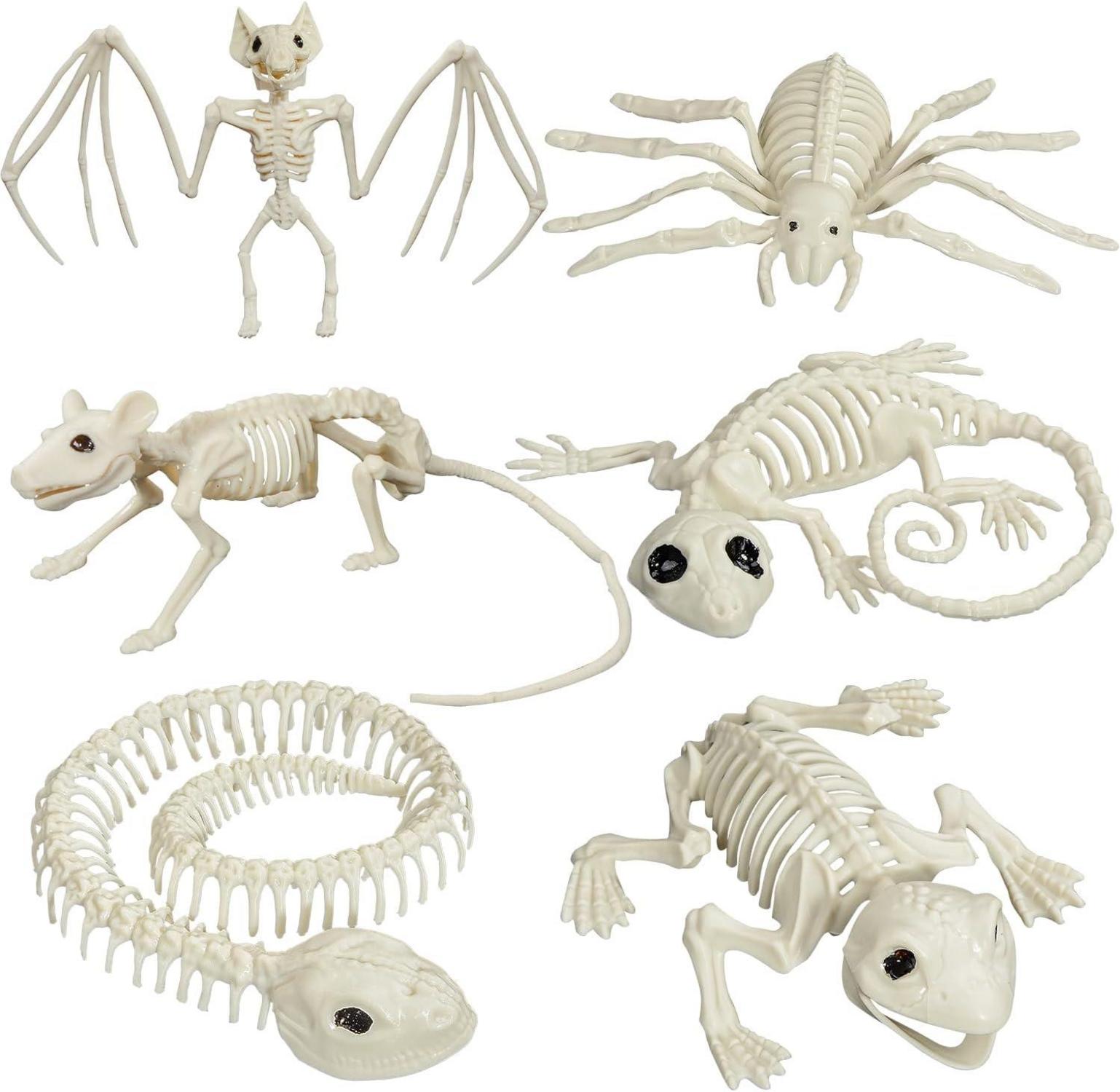 Halloween Tier Skelette Set für Dekoration, Spukhaus Party