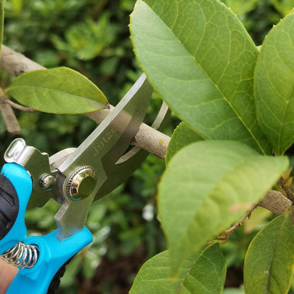 Bypass-Gartenschere für frische Äste und Blumen, hochwertige