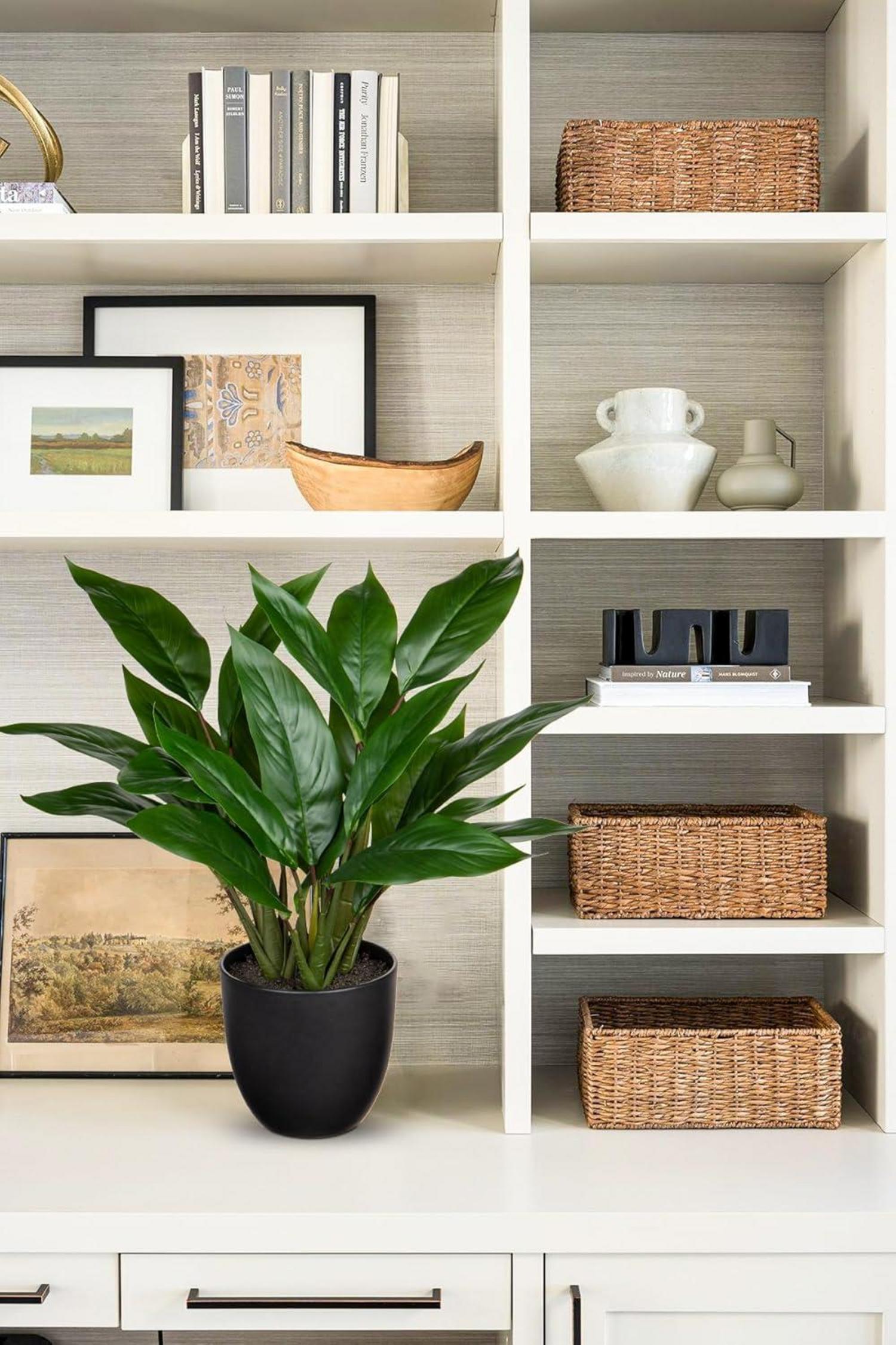 Künstliche Calathea Kunstpflanze 43cm Grün im Kunststofftopf