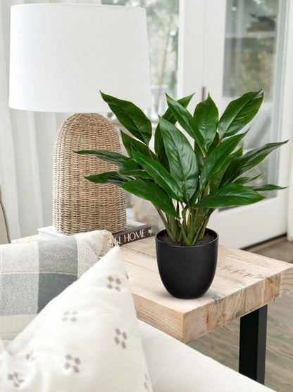 Künstliche Calathea Pflanze 43cm Grün Kunstpflanze Deko im Topf