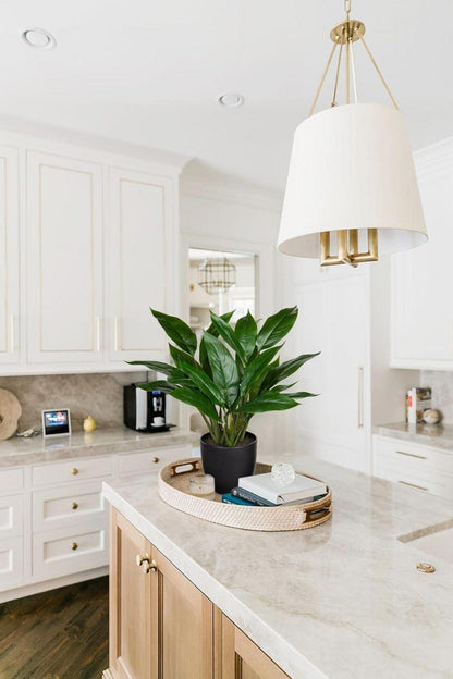 Künstliche Calathea Dekopflanze 43cm Kunststofftopf 22 Blätter Grün