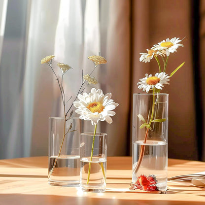 ComSaf Glasvase Set: 6 Kleine Vasen für Tischdeko, Hochwertige Tulpenvase Zylinder