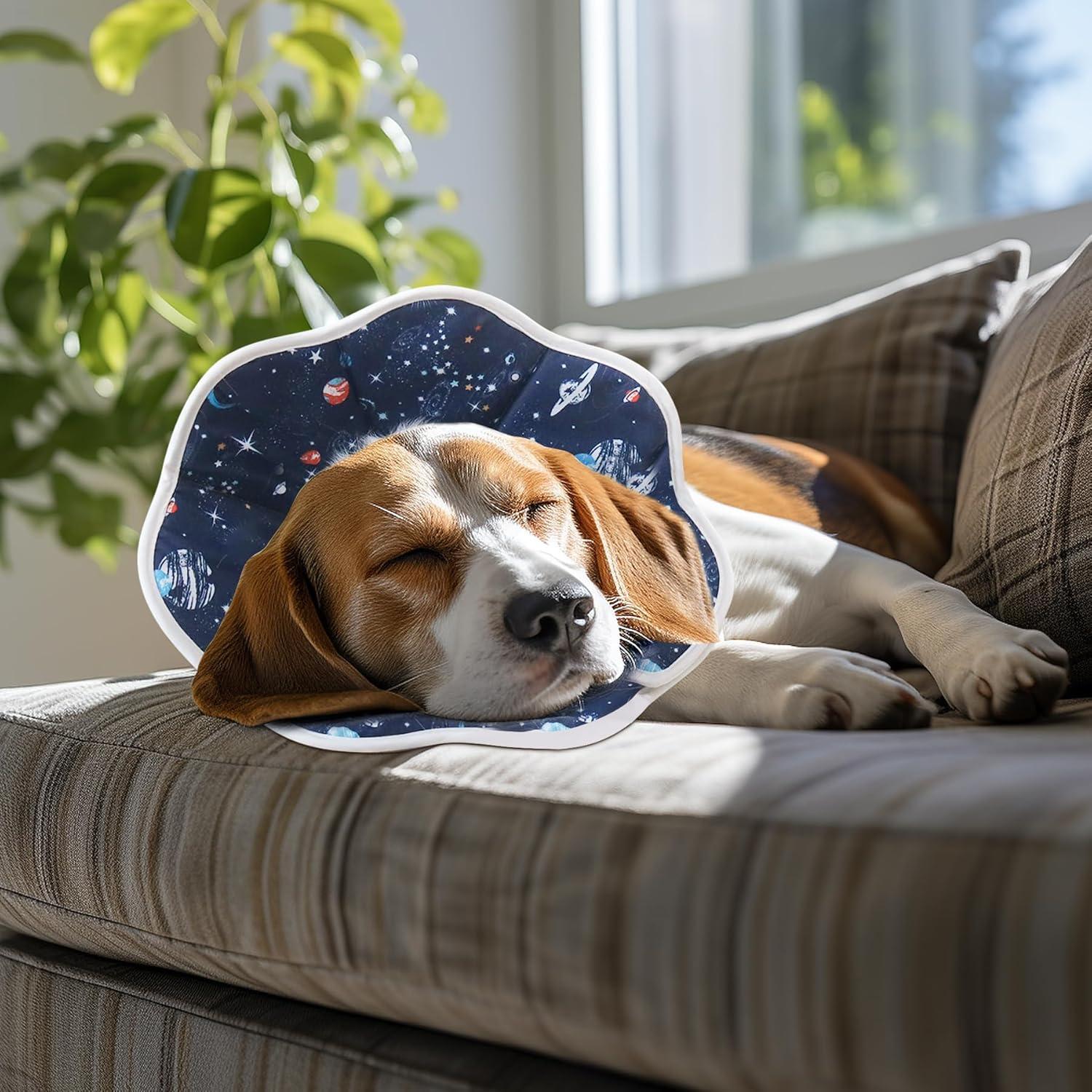 Halskrause Hund und Katze Leckschutz für schnelle Genesung