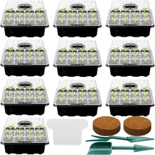 Zimmergewächshaus Anzucht Gewächshaus 10 Stk 120 Zellen Set