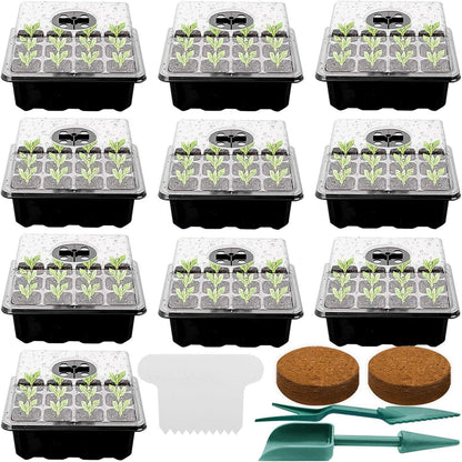 Zimmergewächshaus Anzucht Gewächshaus 10 Stk 120 Zellen Set