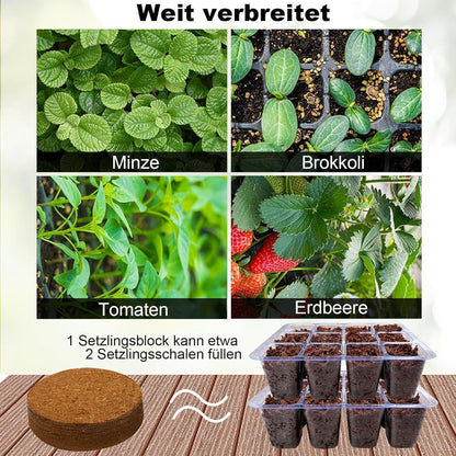 Zimmergewächshaus Anzucht Gewächshaus 10 Stk 120 Zellen Set