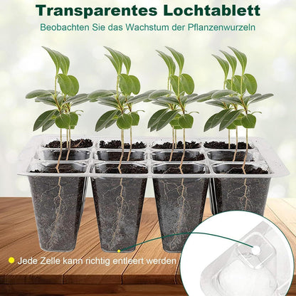 Gewächshaus Klein Indoor Gewächshaus Starter Set 6 Stück